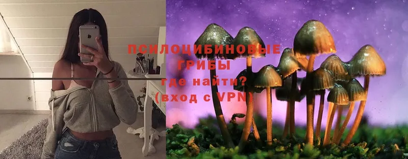 Псилоцибиновые грибы Psilocybine cubensis  купить наркоту  Черногорск 